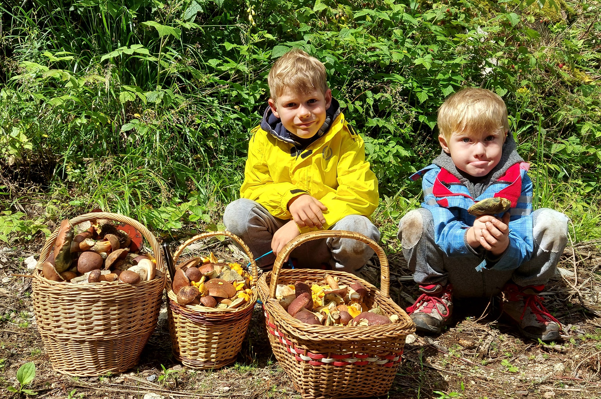 Hubárčenie v Nízkych Tatrách